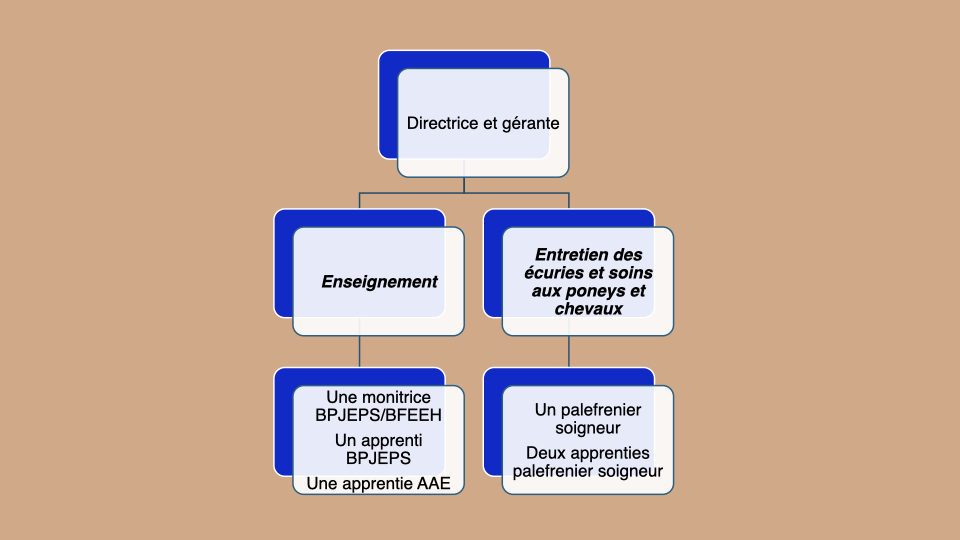 Organigramme ecuries.001